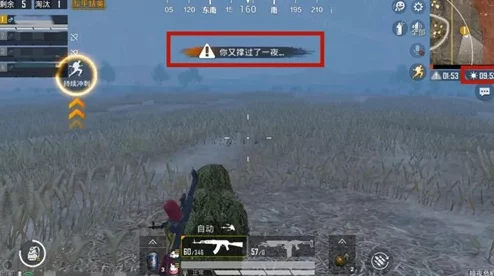 和平精英2024刺激之夜