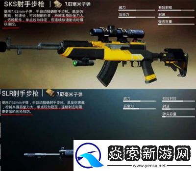 SLR射手步枪与SKS对比分析