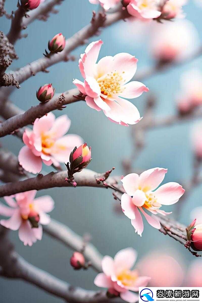 当桃花盛开的时候