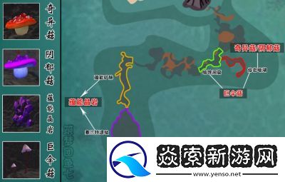 深入解析创造与魔法战宠排名
