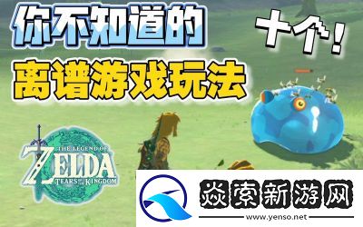 塞尔达有什么好玩的玩法