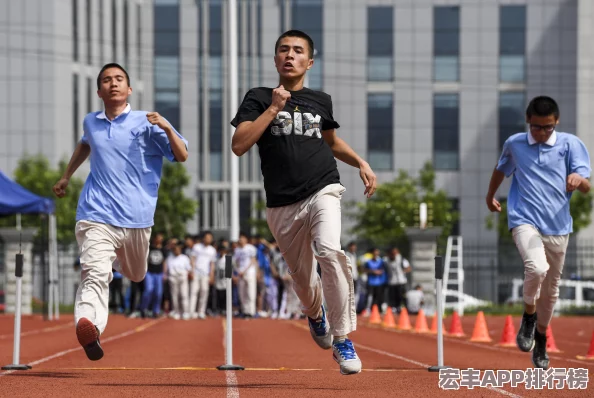 2024年最受欢迎的免费沙滩排球游戏排行榜TOP5