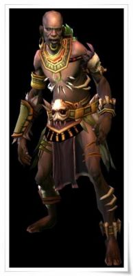 暗黑破坏神3中巫医职业的最强流派