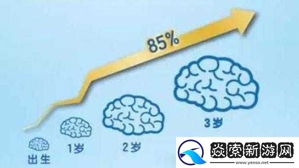 食肉老师摄取报告