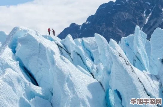 2024年冰川网络力作全览
