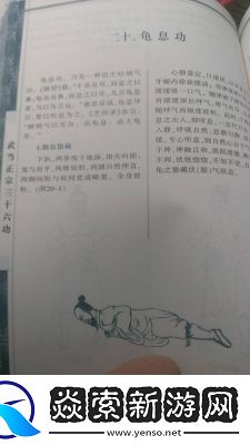 求长生龟息术的详细办法