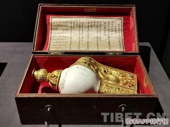 探索魔法海螺的奇幻效果