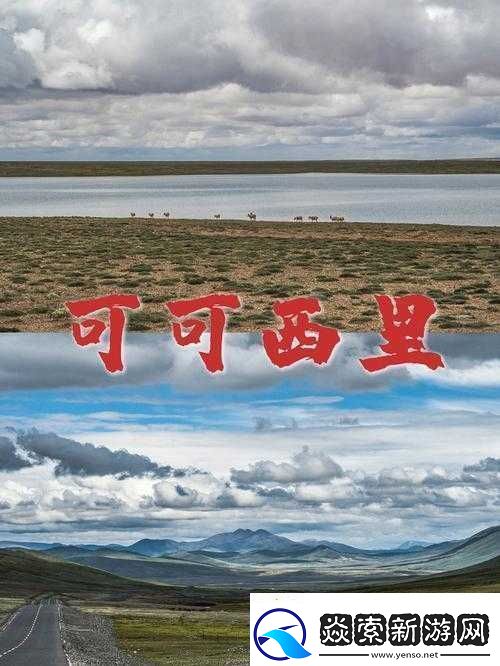 无人区编码