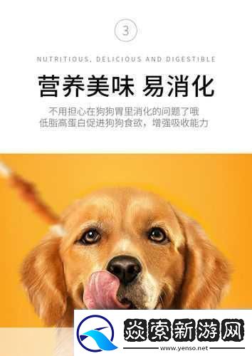 人狗胶配方大全狗狗全面解析狗狗营养配方与健康照护秘诀