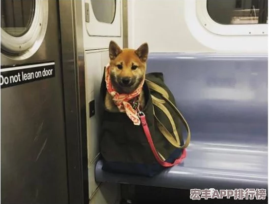 地铁逃生实战对比