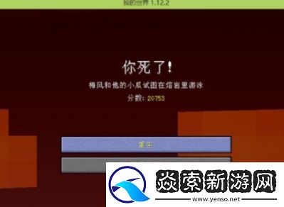 我的世界