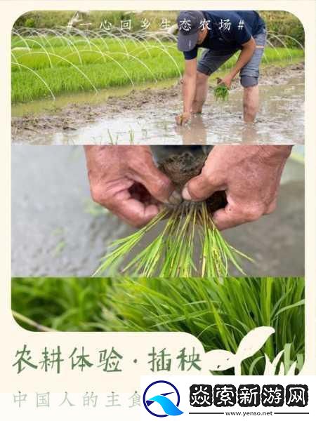夫妻之间的108种插秧法