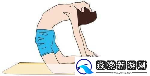 按哪个部位可以提高性功能提升性功能的关键部位及其锻炼方法