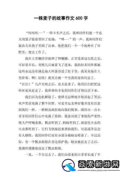 朋友麦子3的抵债之举