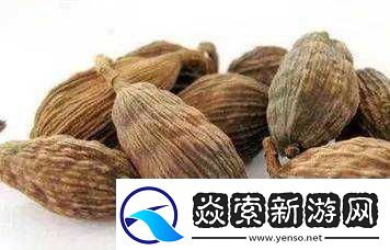 盐母