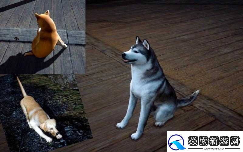 黎明觉醒