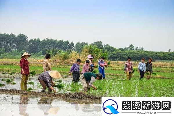 夫妻之间的108种插秧法