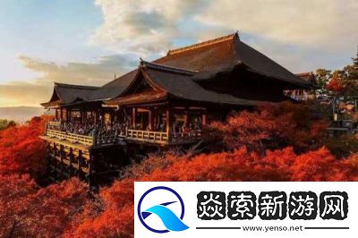 如何从只狼仙峰寺正殿后方前行