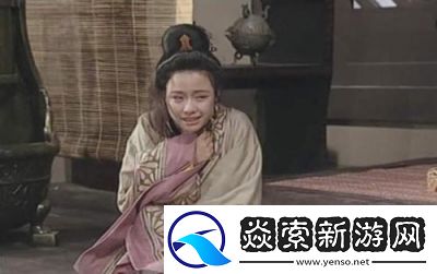 公府佳媳陆丰与赵行远的情感传奇
