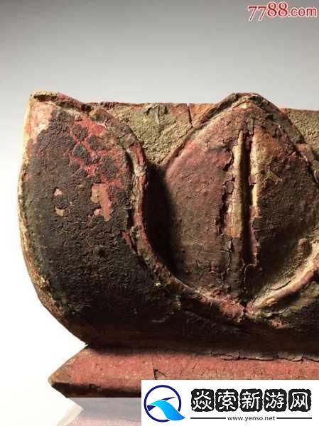 肉莲花吸入金刚杵的后果