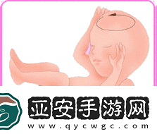 双腿间硬硬的胎头湿漉漉的挤出来的情况如何应对