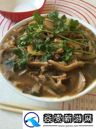 妄想山海蘑菇肉汤的烹饪秘籍