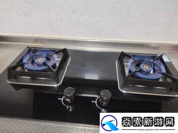 肉食家庭食取报告1樱花