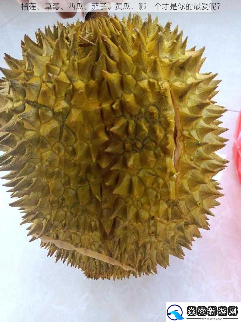 榴莲、草莓、西瓜、茄子、黄瓜