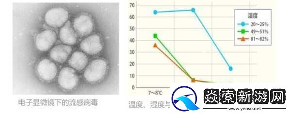 探索人狗胶配方大全免费天气预报