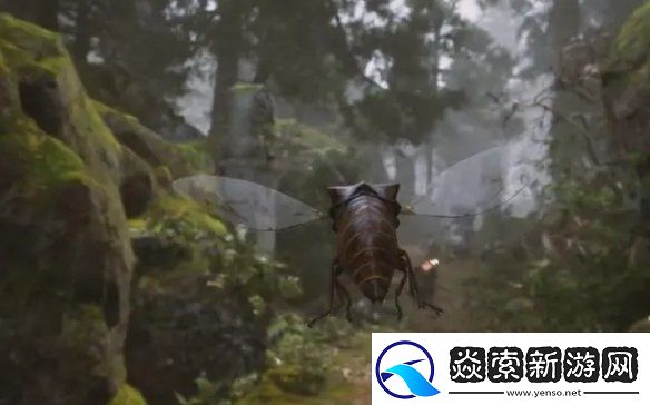 黑神话悟空打败黄风大圣需要什么