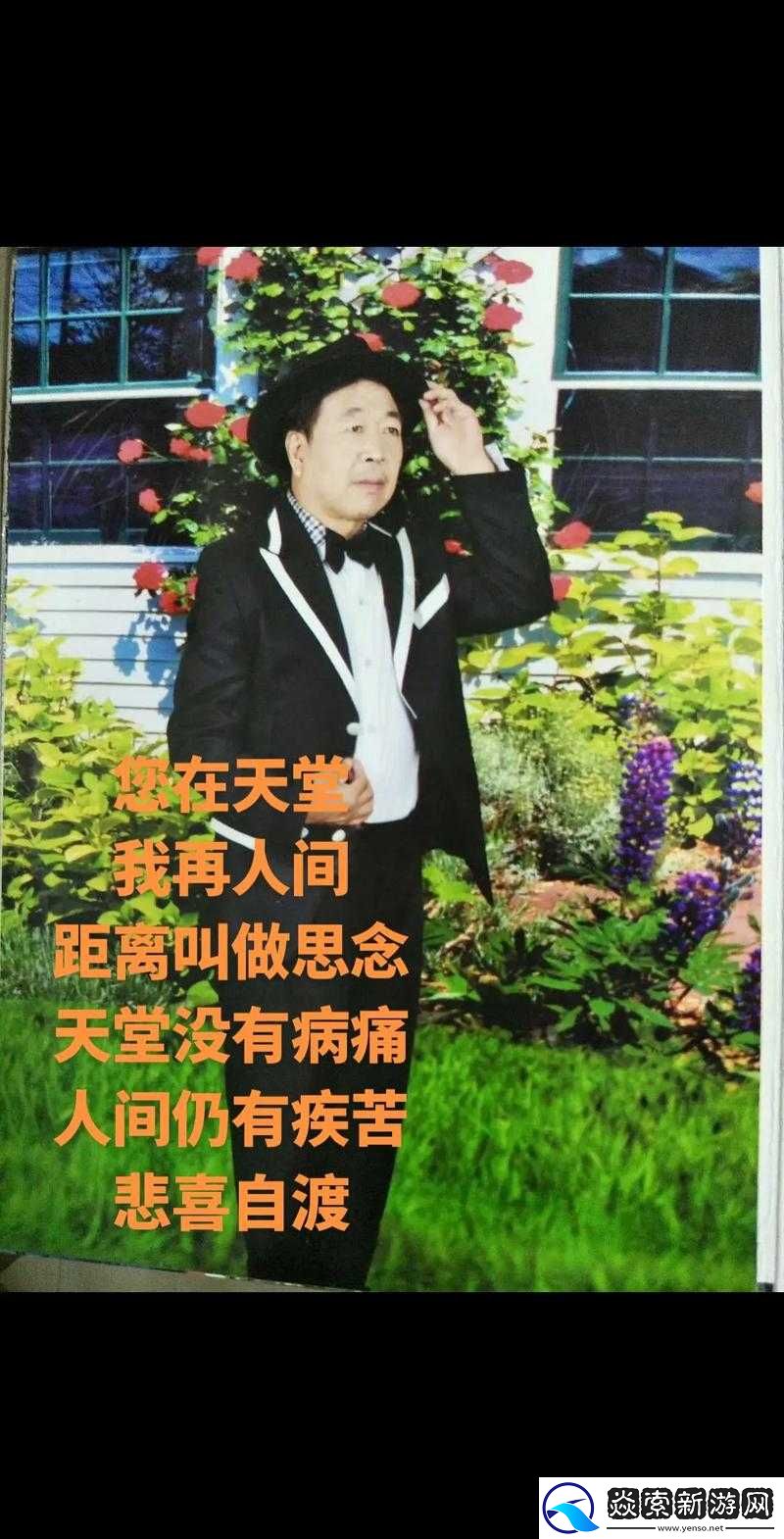 天天想你今夜无人入眠杨光