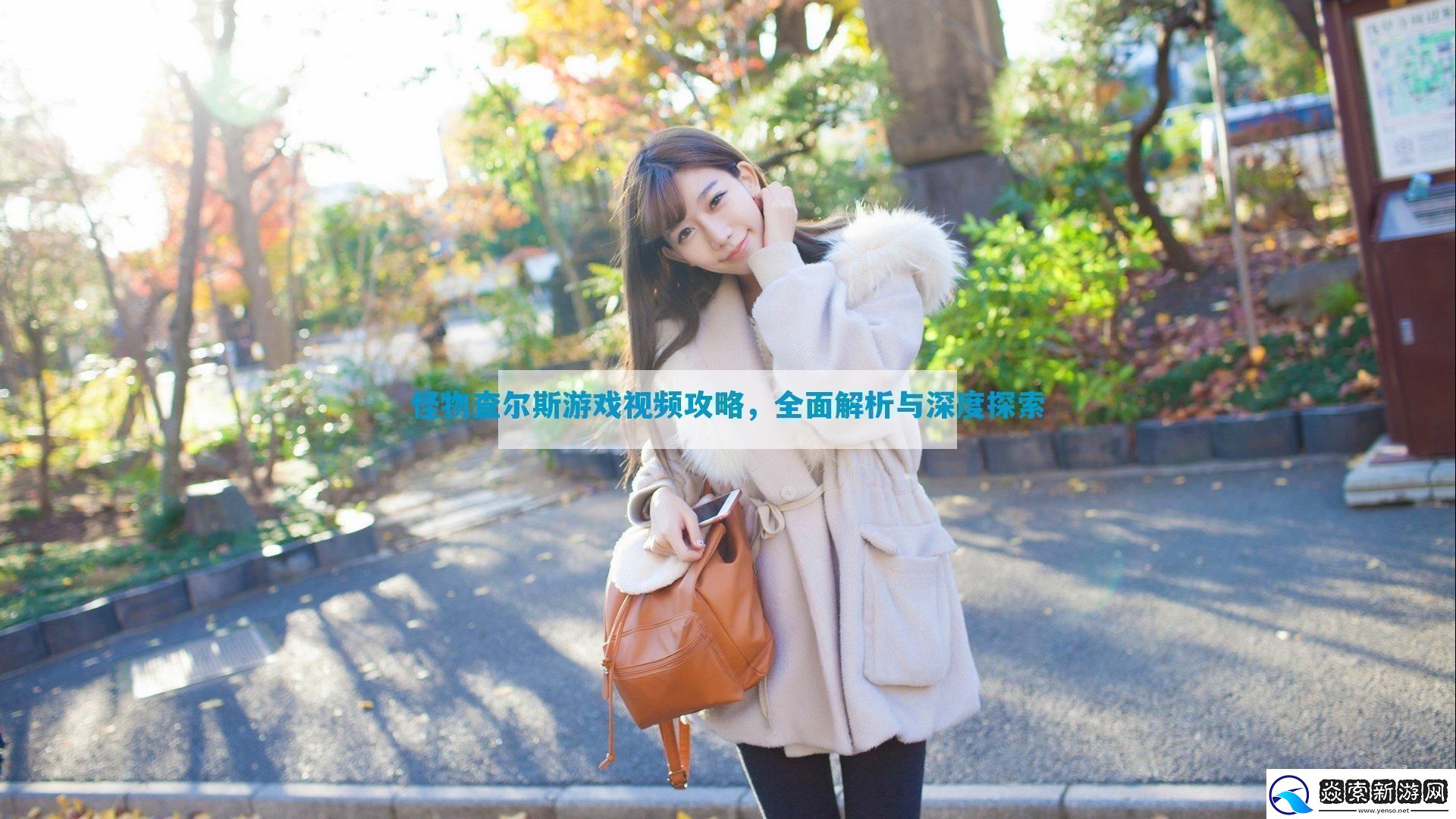 怪物查尔斯游戏视频攻略