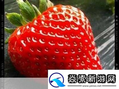 香蕉菠萝黄瓜草莓樱桃榴莲茄子