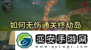 使命召唤21终劫岛彩蛋有哪些