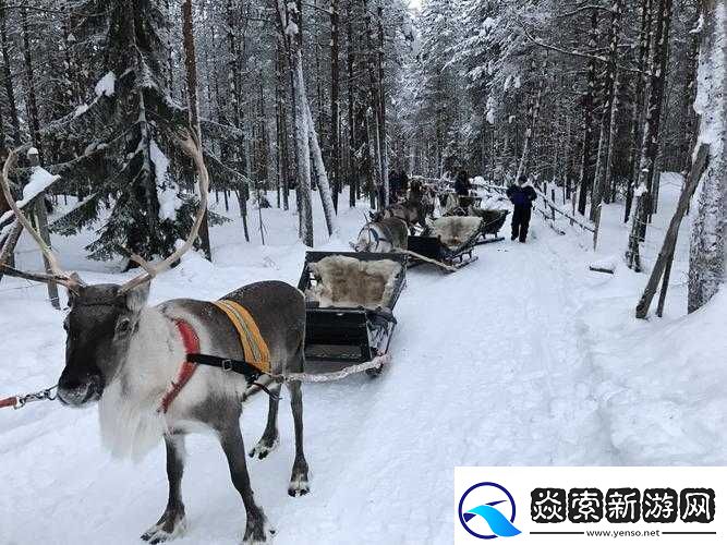 寻找冰原守卫者拉雪橇的麋鹿