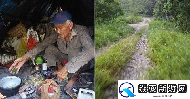 外国老人做交易森林