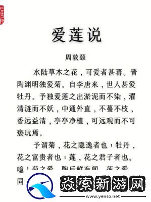 出淤泥而不染濯清涟而不妖桃源深处有人家——揭晓萝卜之谜