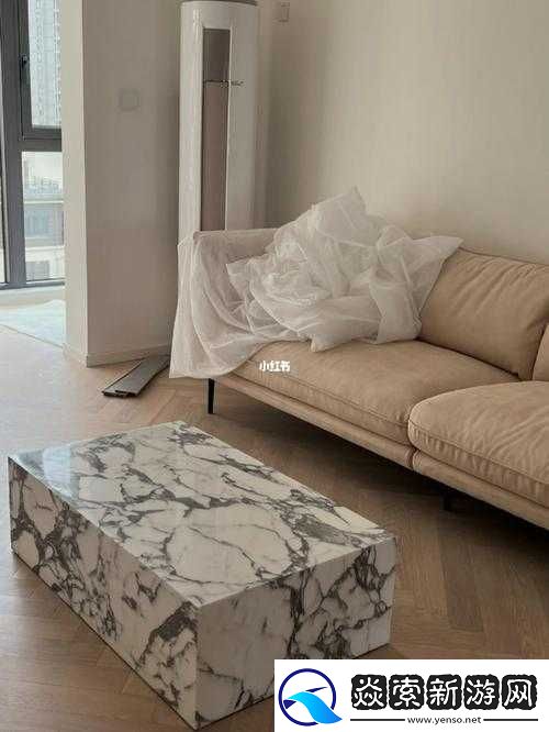 九个装修工人把我放在茶几上