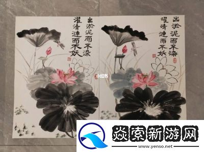 出淤泥而不染濯清涟而不妖桃源深处有人家——揭晓萝卜之谜