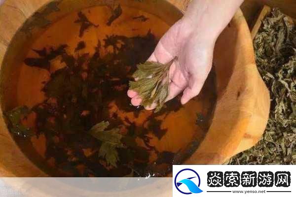 扦插BB有什么好处