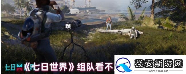 七日世界组队看不见队友怎么办