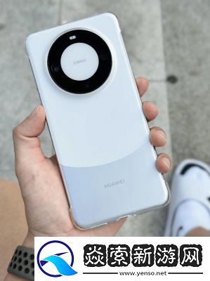 欧美无Mate30Pro巨
