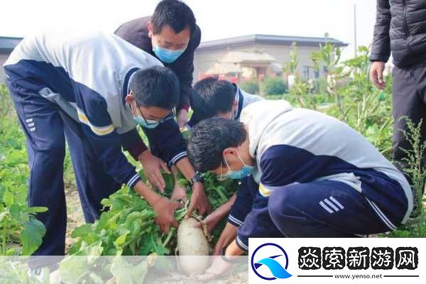 拔萝卜又叫降黄9.1