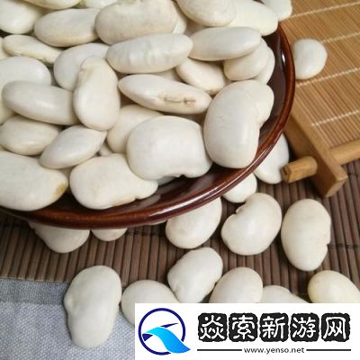 煮豆智慧园