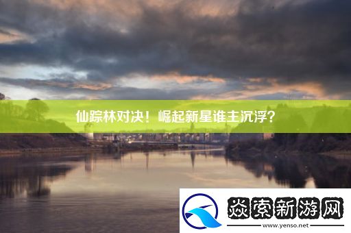 仙踪林对决！崛起新星谁主沉浮