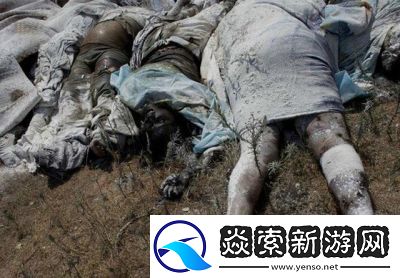 孕妇在WindowsChannel离奇分娩
