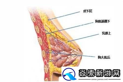 女生胸前的两个大包包