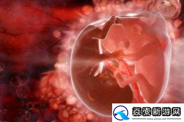 共生双胞胎