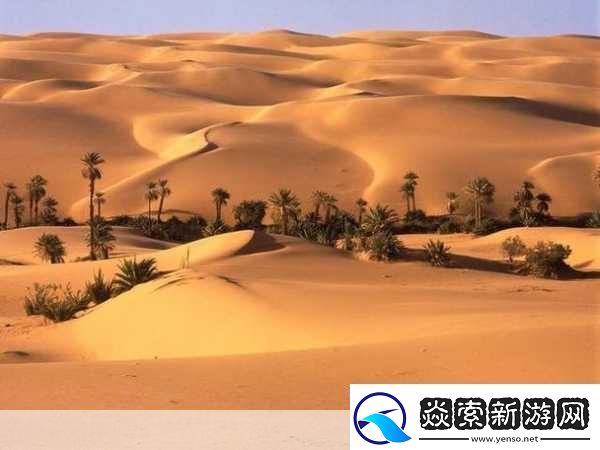 欧美无人区码卡二卡3卡2022