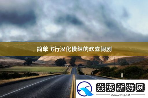简单飞行汉化模组的欢喜闹剧